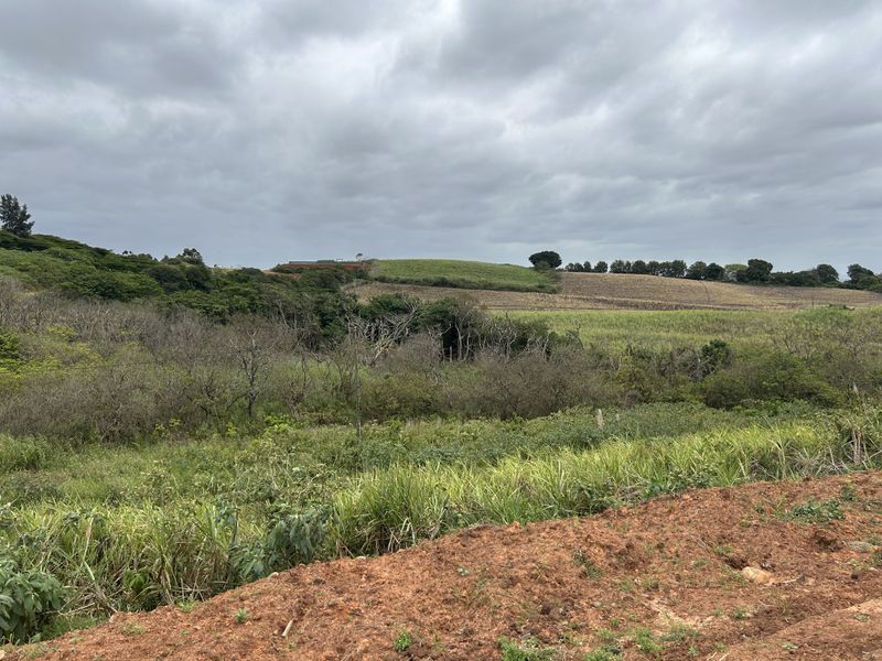 Affordable Plot with Gentle Slope and Greenbelt Outlook in Seaton Estate - Photo 3