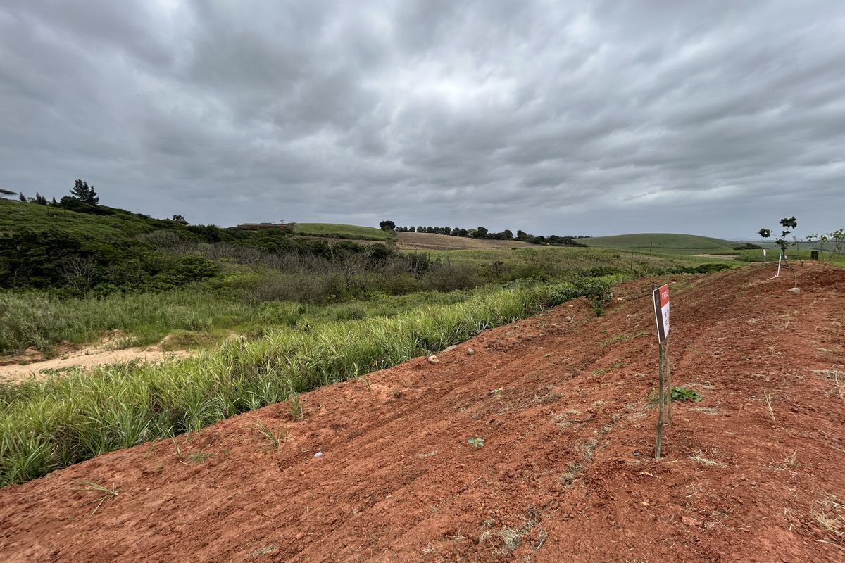 Affordable Plot with Gentle Slope and Greenbelt Outlook in Seaton Estate - Photo 2