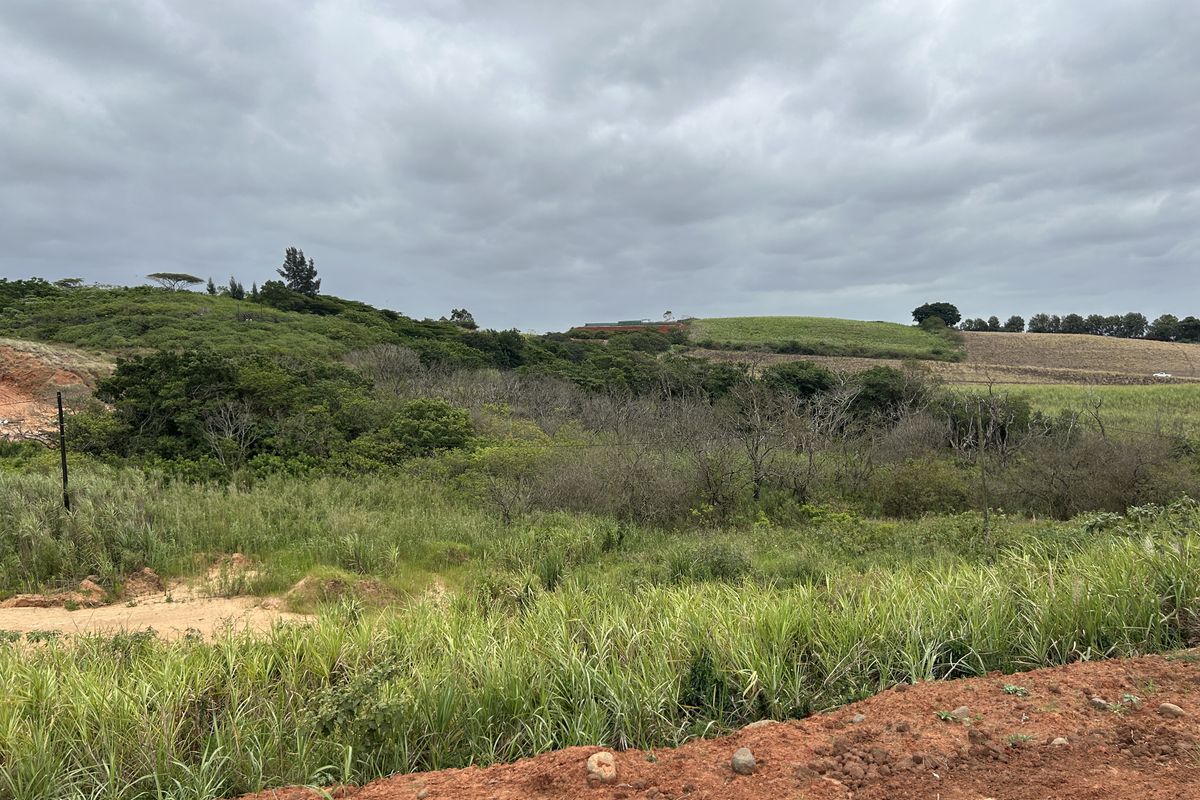 Affordable Plot with Gentle Slope and Greenbelt Outlook in Seaton Estate - Photo 5