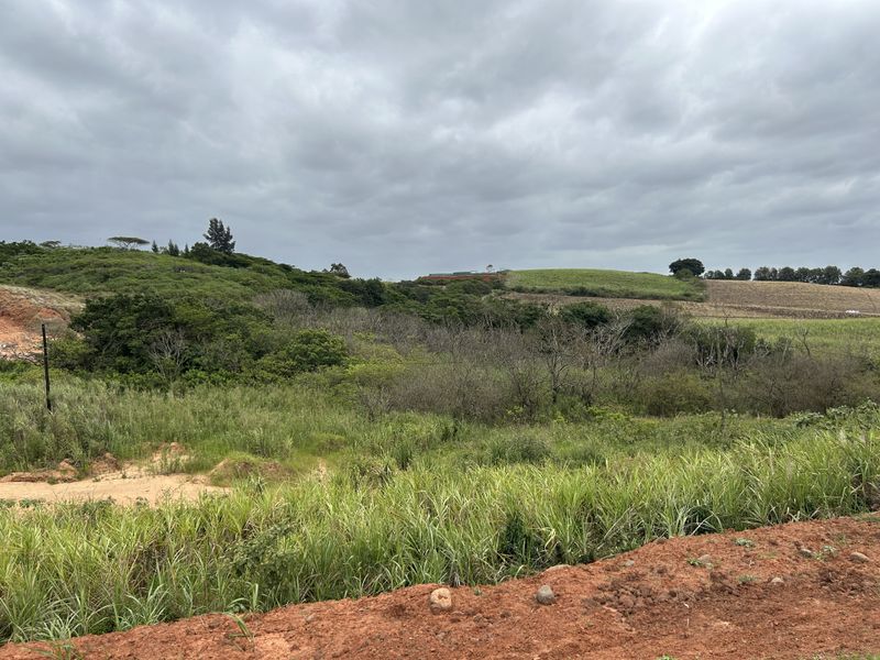 Affordable Plot with Gentle Slope and Greenbelt Outlook in Seaton Estate - Photo 5