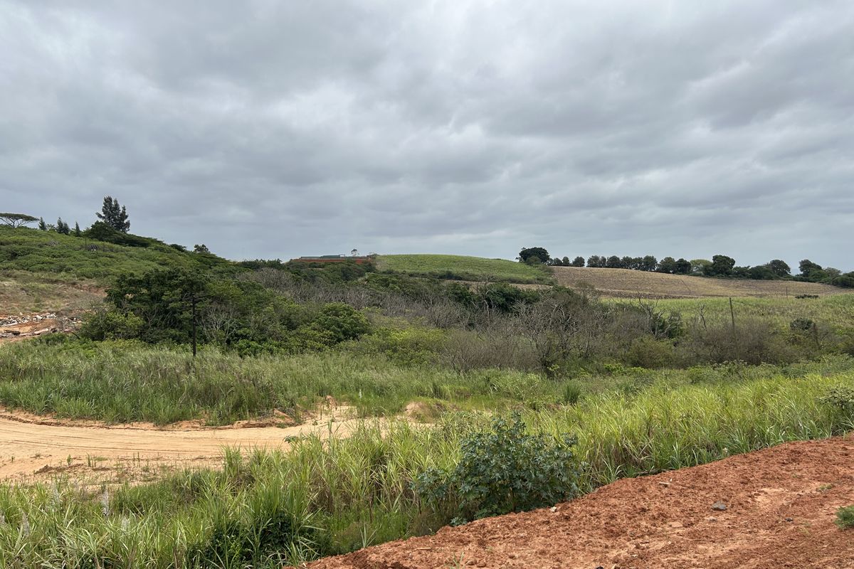 Affordable Plot with Gentle Slope and Greenbelt Setting in Seaton Estate - Photo 4