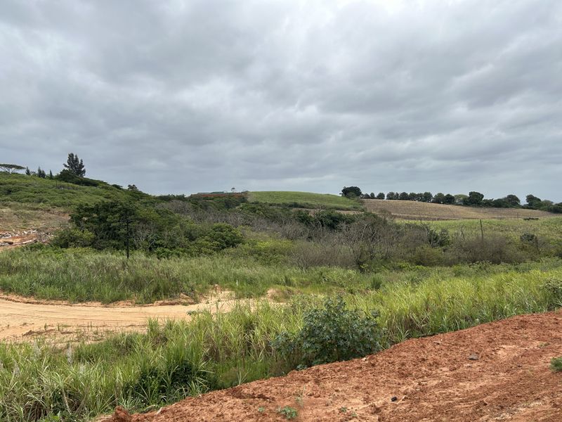 Affordable Plot with Gentle Slope and Greenbelt Setting in Seaton Estate - Photo 4