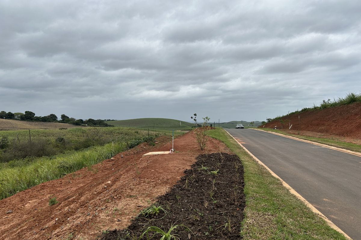 Affordable Plot with Gentle Slope and Greenbelt Setting in Seaton Estate - Photo 3