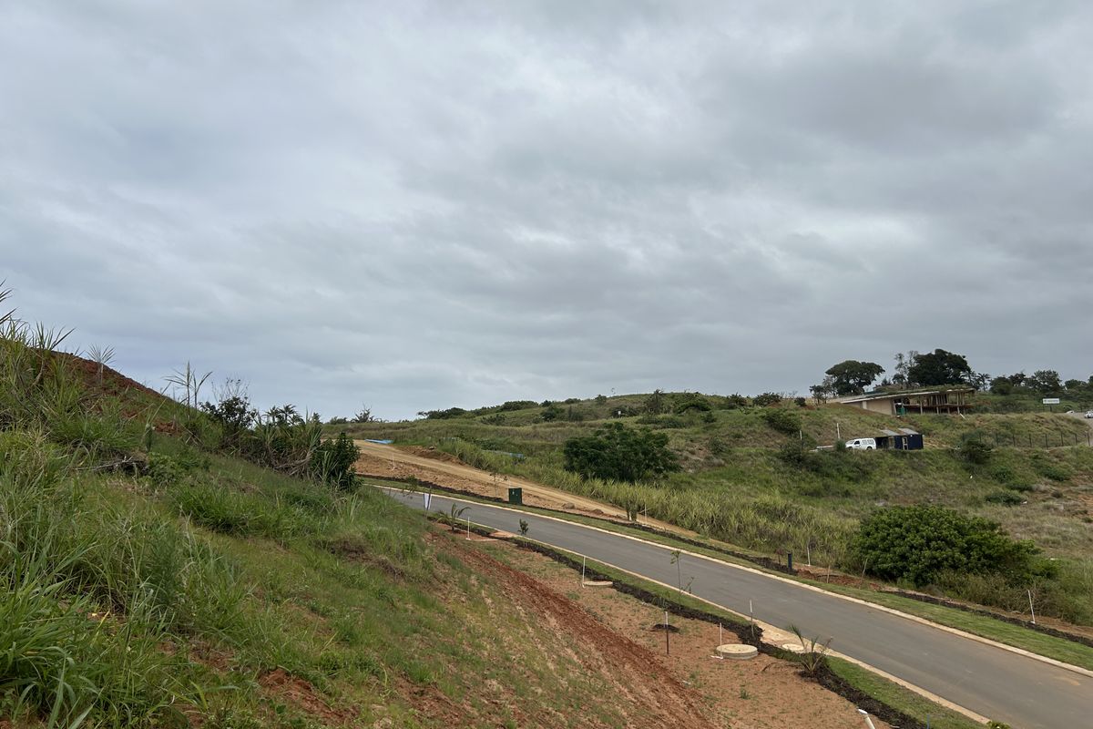 Elevated Stand with Expansive Estate Views - Photo 5