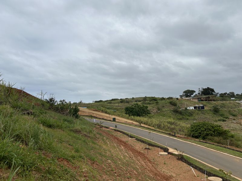 Elevated Stand with Expansive Estate Views - Photo 5