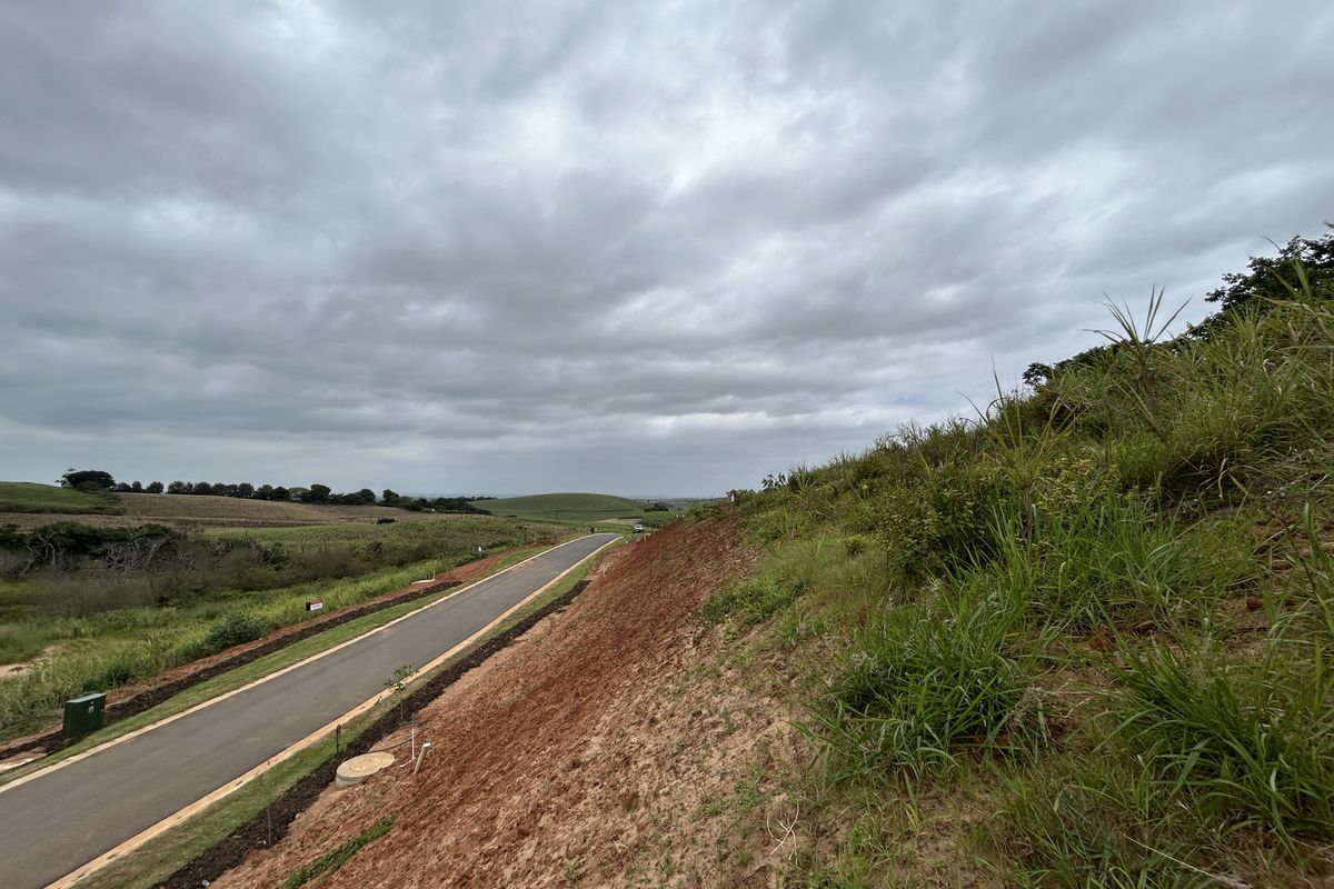 Elevated Stand with Expansive Estate Views - Photo 2