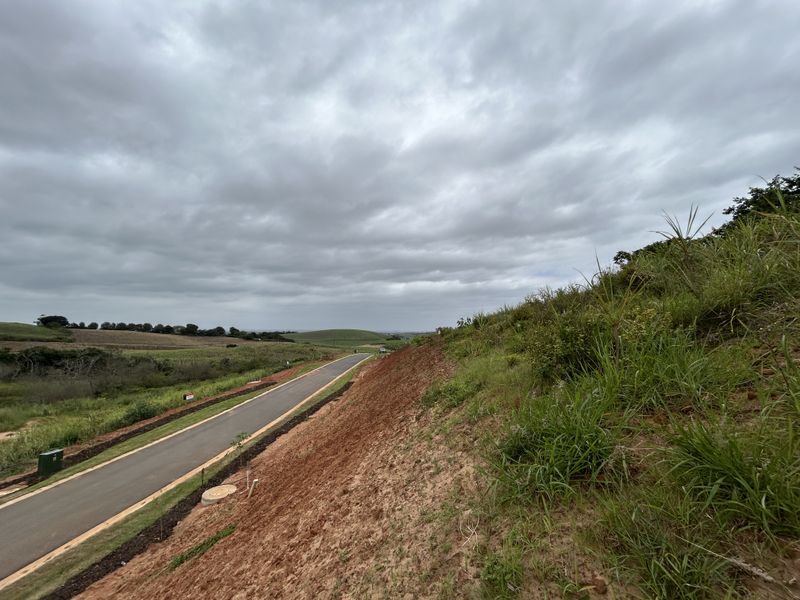 Elevated Stand with Expansive Estate Views - Photo 2