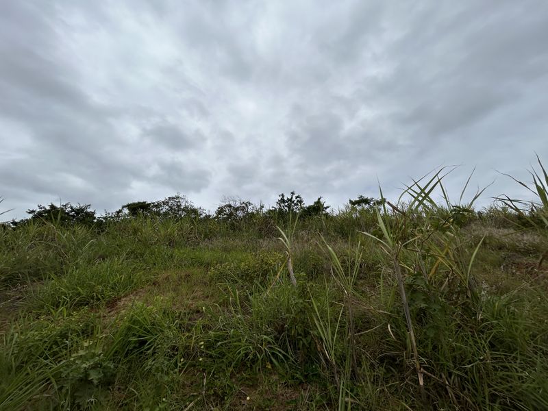 Elevated Stand with Expansive Estate Views - Photo 4