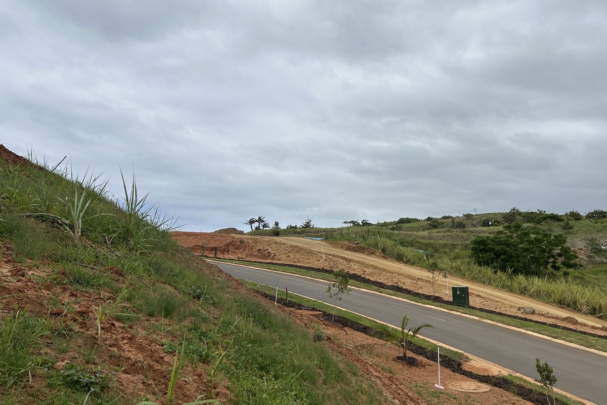 Elevated Stand with Lovely Estate Views - Photo 2