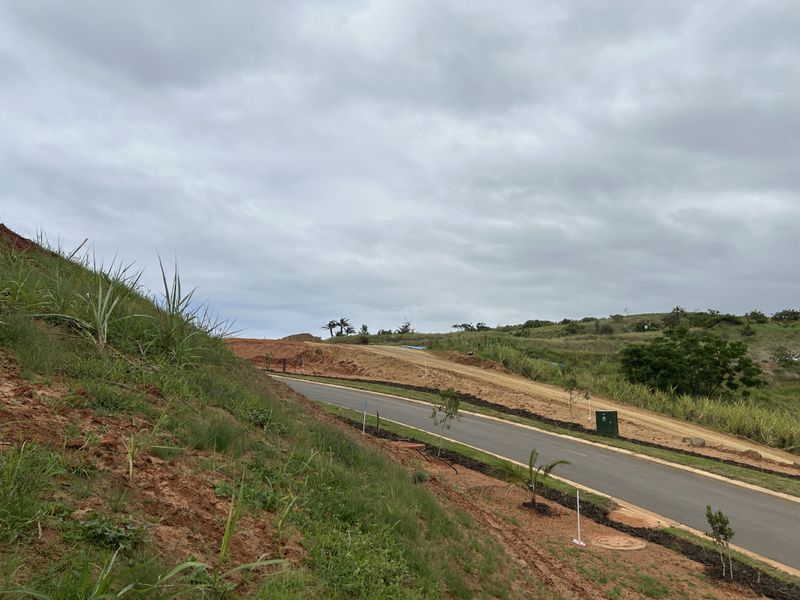 Elevated Stand with Lovely Estate Views - Photo 2