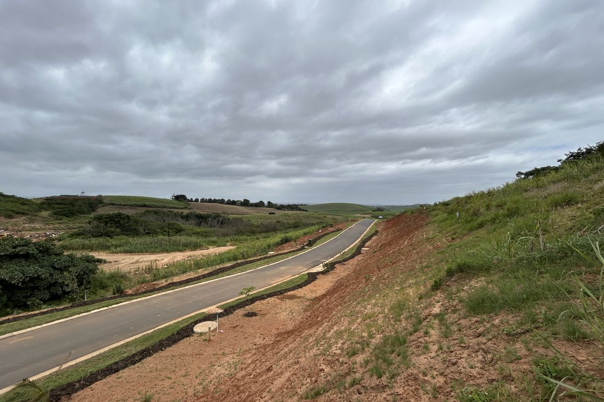 Elevated Stand with Lovely Estate Views - Photo 5