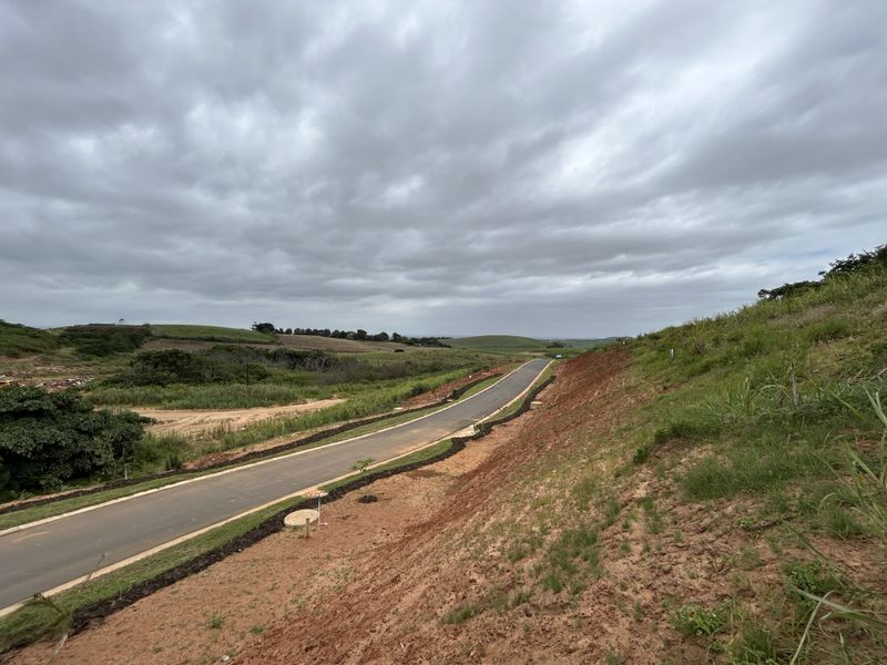 Elevated Stand with Lovely Estate Views - Photo 5