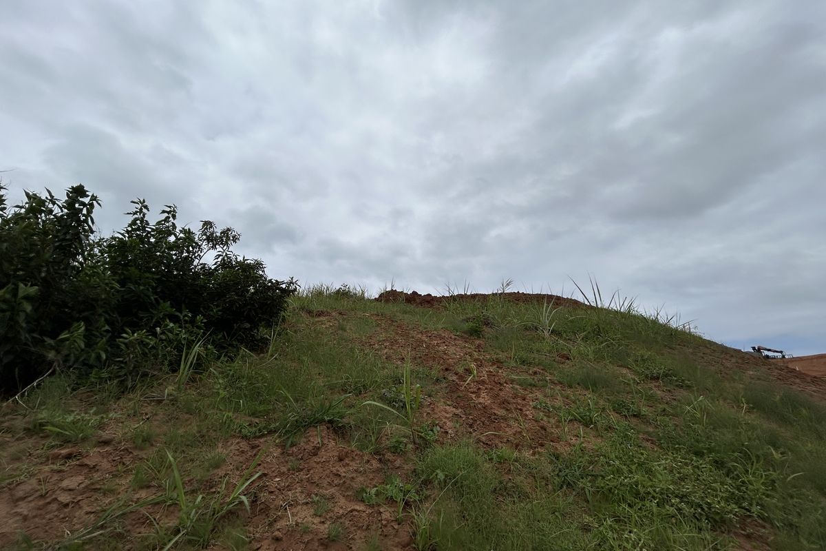 Elevated Stand with Lovely Estate Views - Photo 3