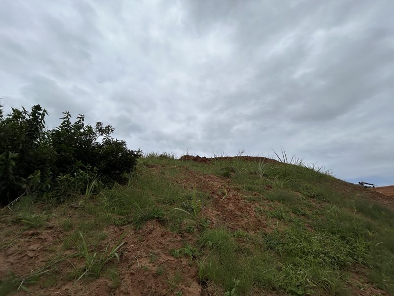 Elevated Stand with Lovely Estate Views - Photo 3