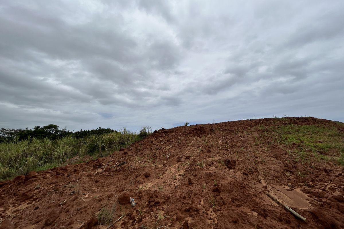 Elevated Stand with Scenic Estate Views - Photo 3