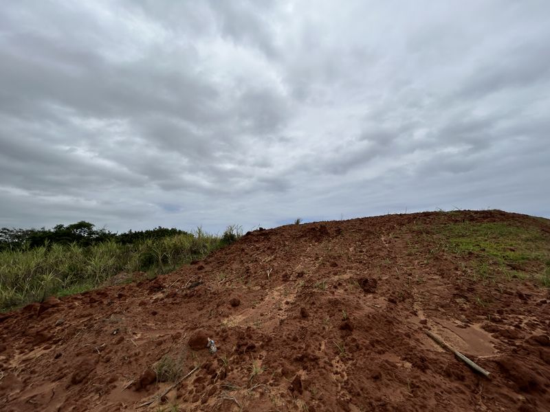 Elevated Stand with Scenic Estate Views - Photo 3