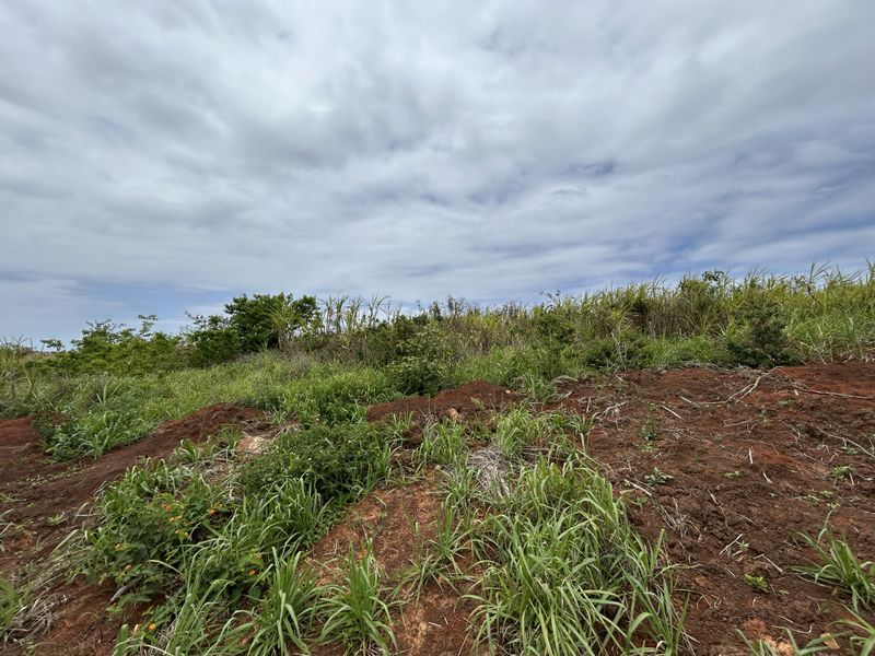 Elevated Plot Overlooking Seaton’s Green Belts - Photo 7