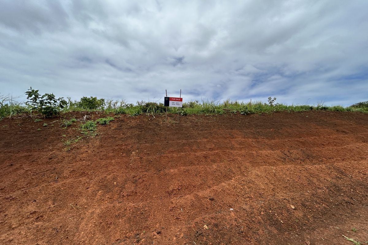 Elevated Plot Overlooking Seaton’s Green Belts - Photo 2