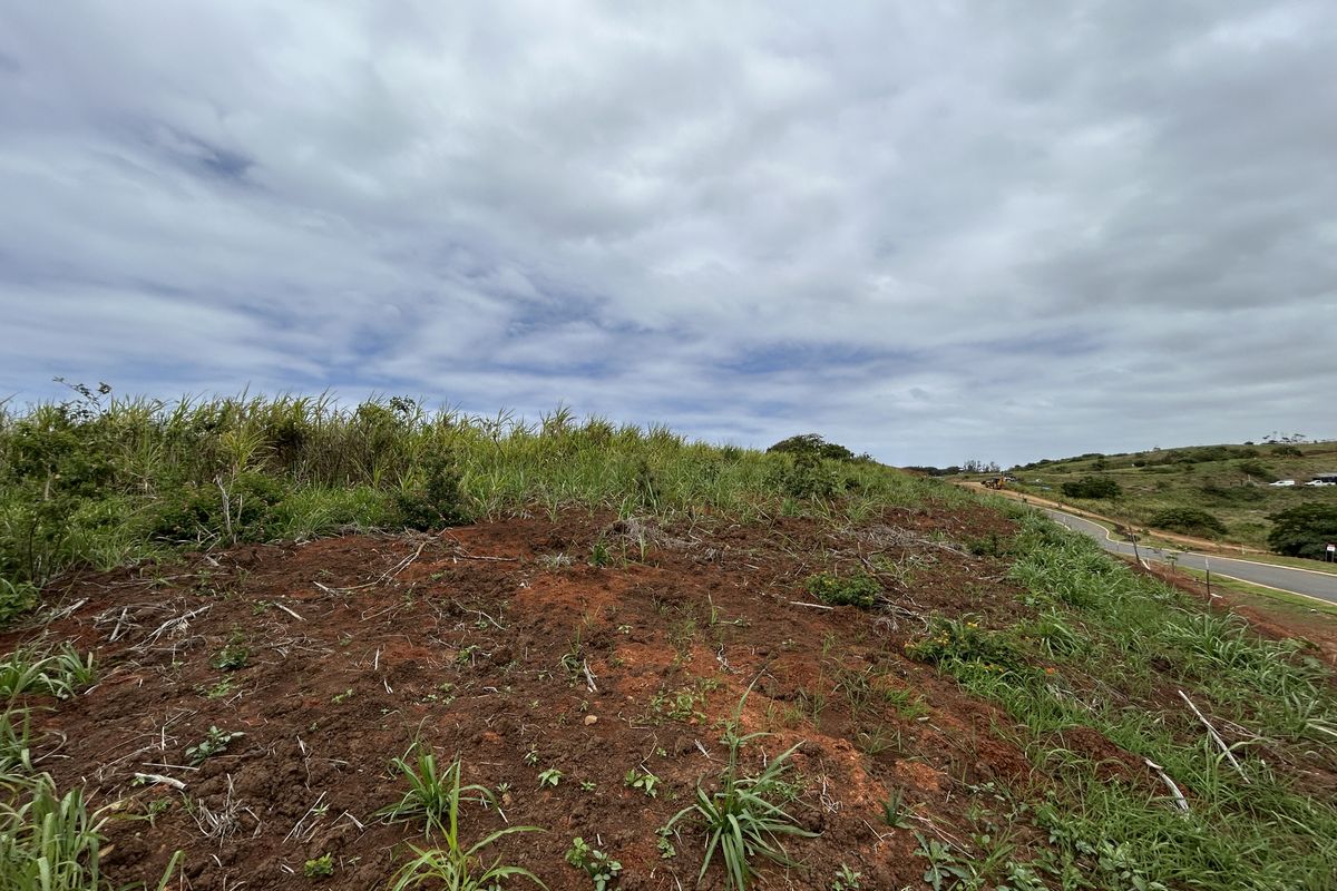 Elevated Plot Overlooking Seaton’s Green Belts - Photo 5