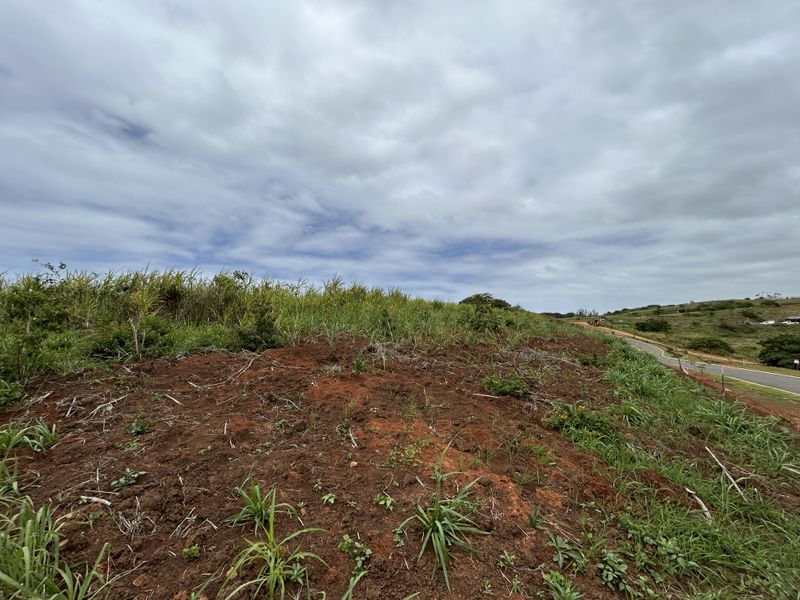 Elevated Plot Overlooking Seaton’s Green Belts - Photo 5
