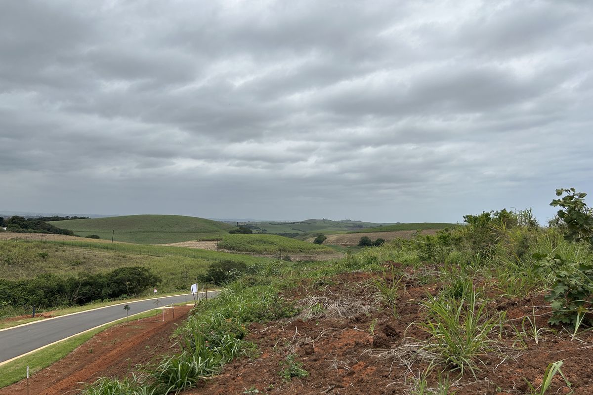 Elevated Stand with Scenic Estate Views - Photo 4