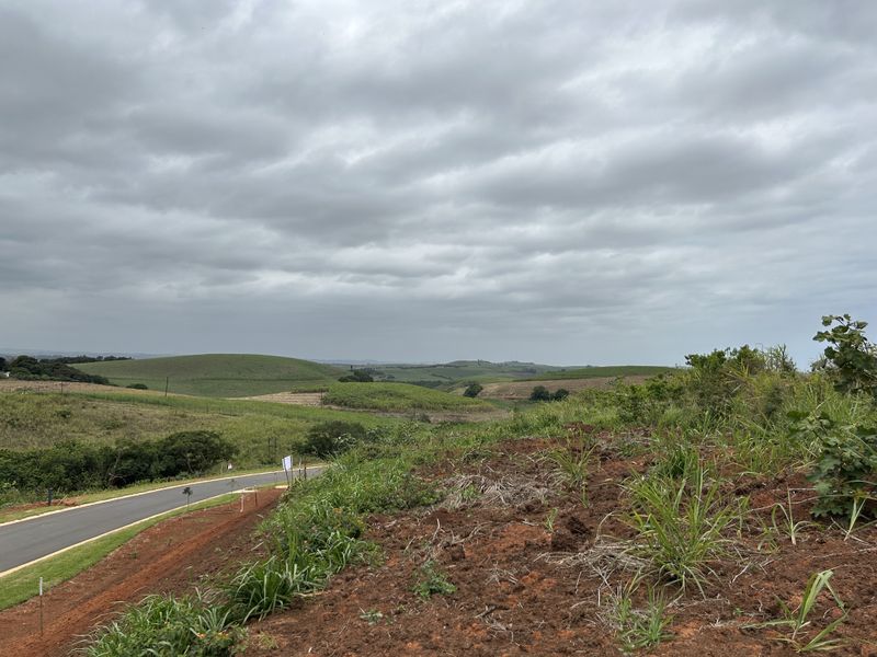 Elevated Stand with Scenic Estate Views - Photo 4