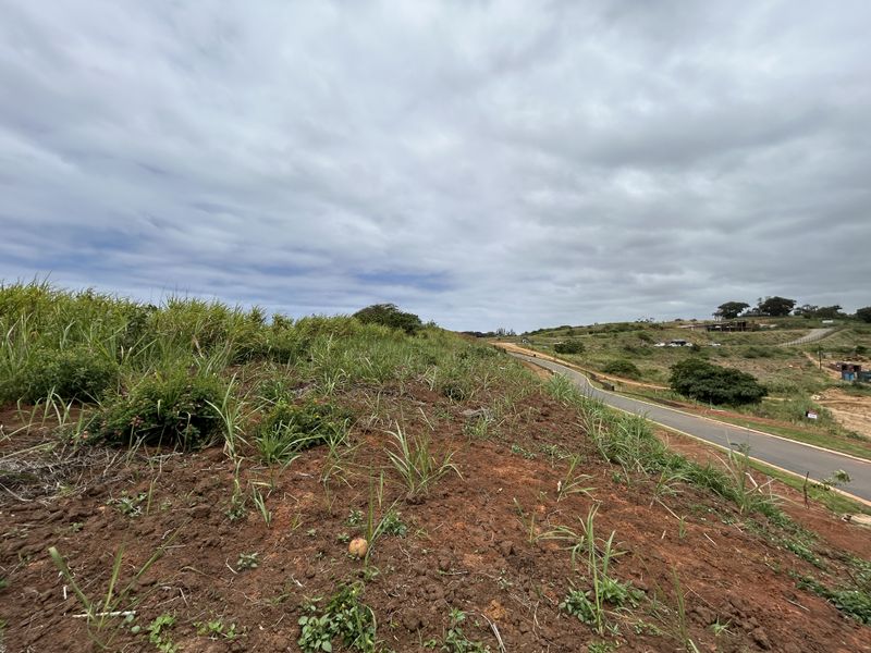 Elevated Stand with Scenic Estate Views - Photo 6