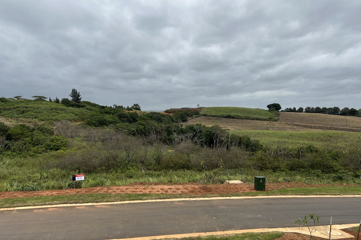 Elevated Stand with Scenic Estate Views - Photo 3