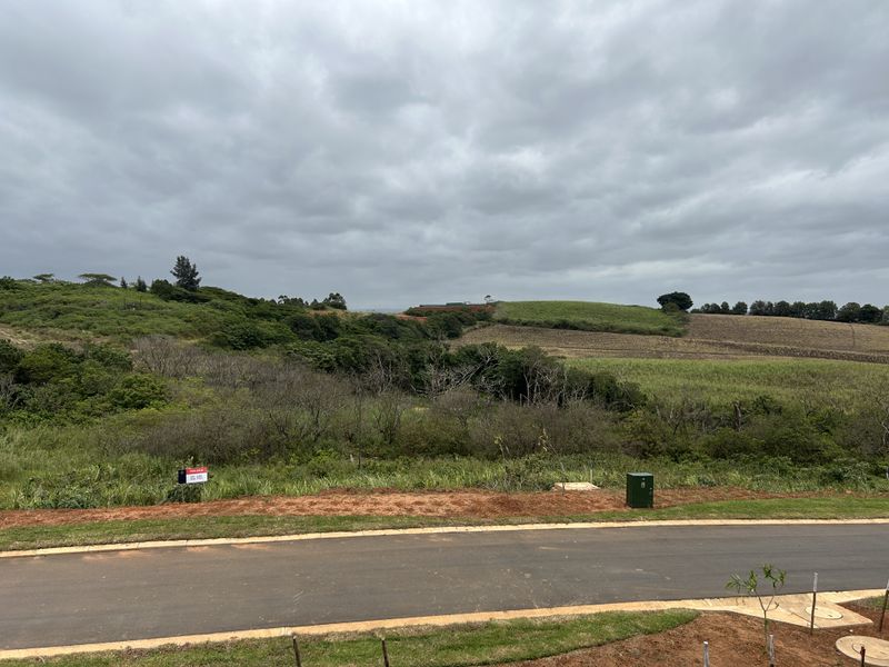 Elevated Stand with Scenic Estate Views - Photo 3