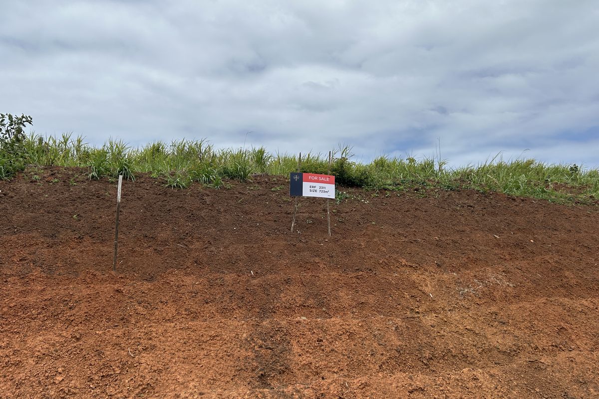 Elevated Stand with Scenic Estate Views - Photo 2