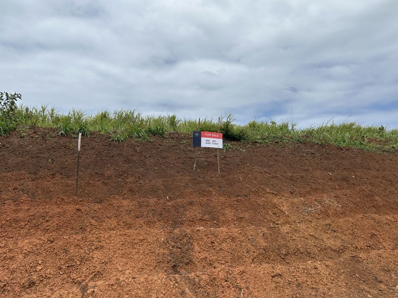 Elevated Stand with Scenic Estate Views - Photo 2