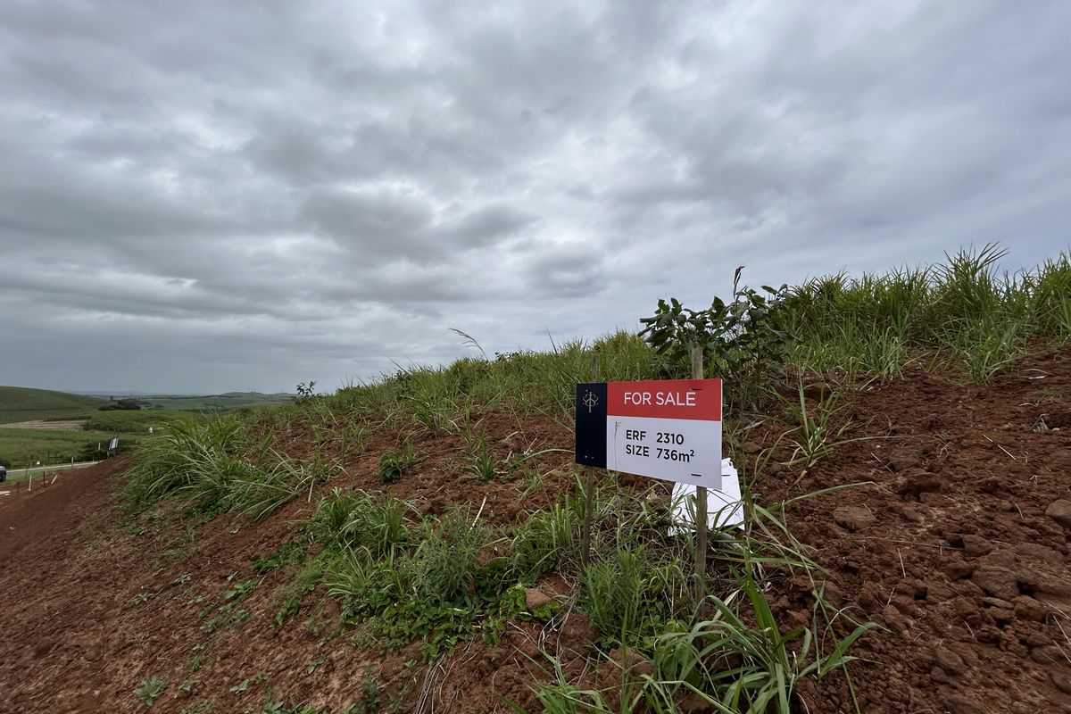 Elevated Stand with Scenic Estate Views - Photo 2