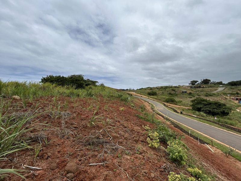 Elevated Stand with Scenic Estate Views - Photo 6