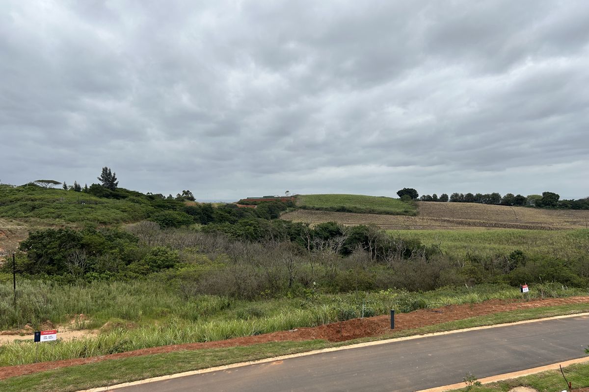 Elevated Stand with Scenic Estate Views - Photo 3