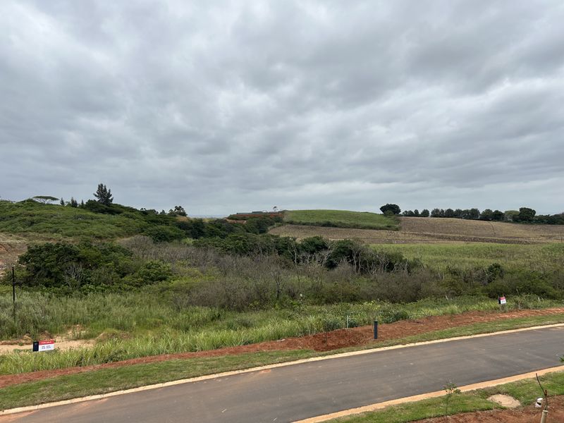 Elevated Stand with Scenic Estate Views - Photo 3