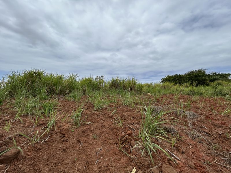Elevated Stand with Scenic Estate Views - Photo 5