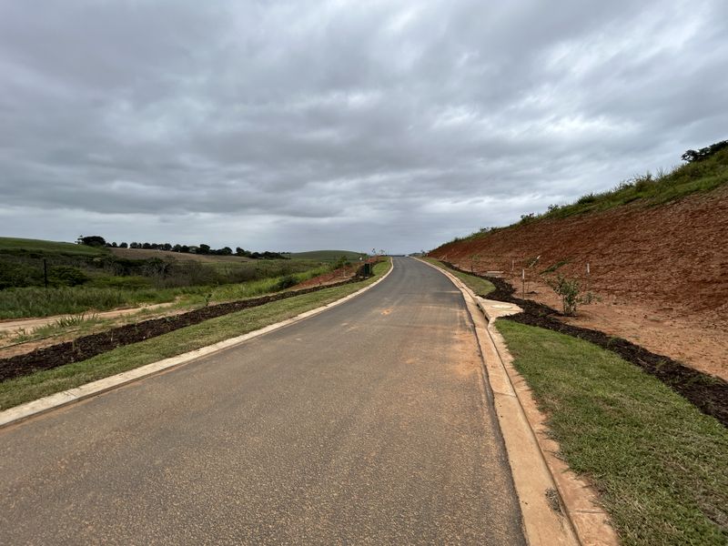 Elevated Stand with Expansive Estate Views - Photo 7