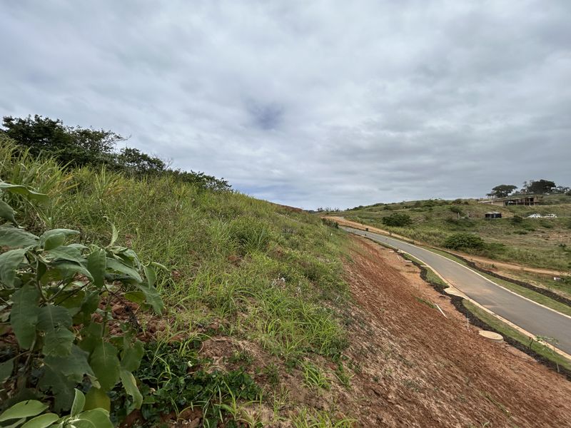 Elevated Stand with Expansive Estate Views - Photo 6