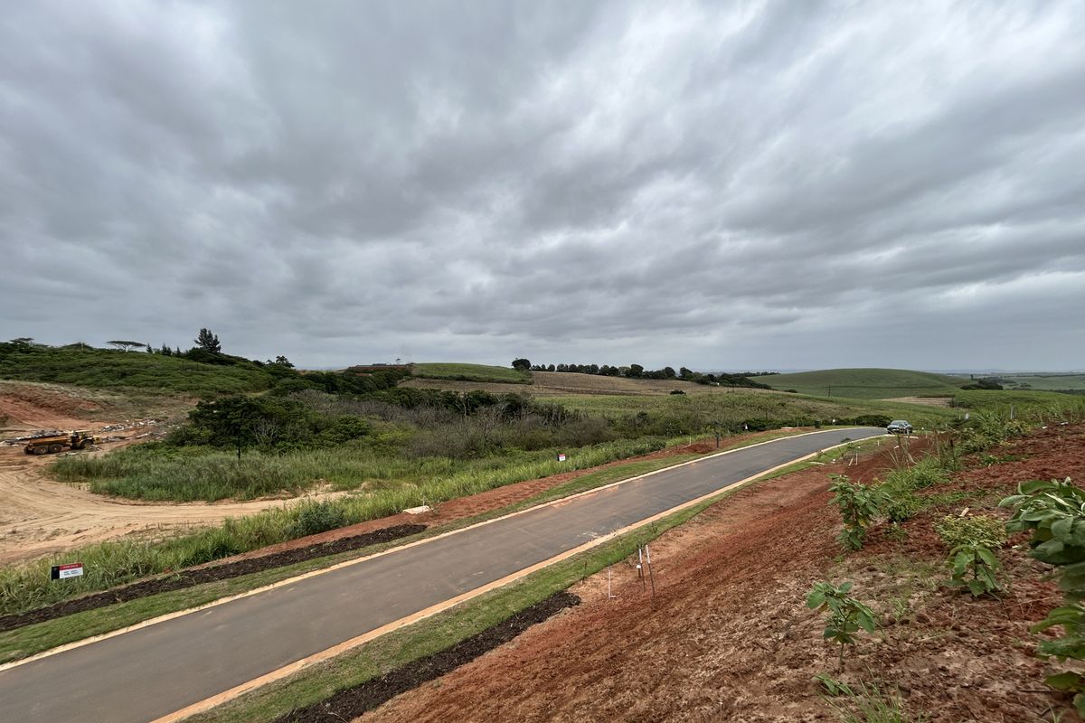 Elevated Stand with Expansive Estate Views - Photo 2