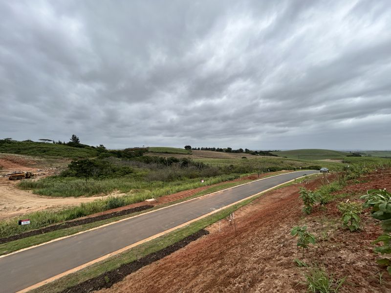 Elevated Stand with Expansive Estate Views - Photo 2