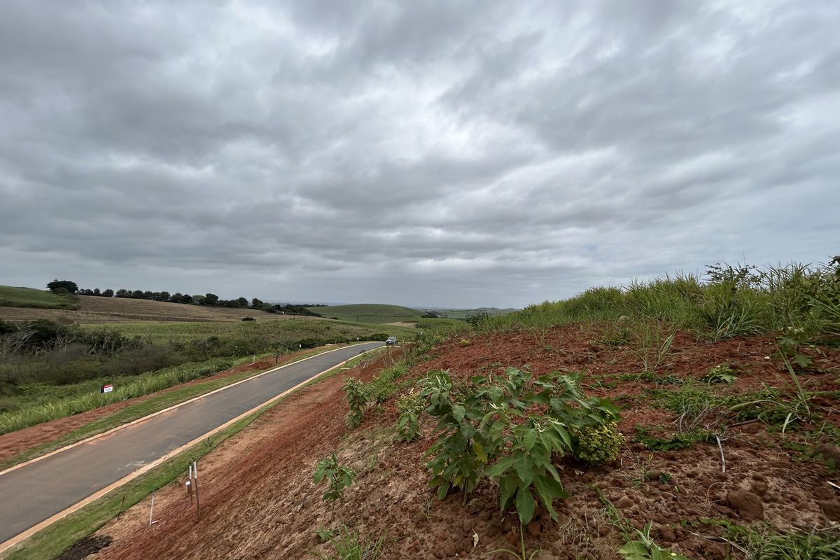 Elevated Stand with Expansive Estate Views - Photo 3