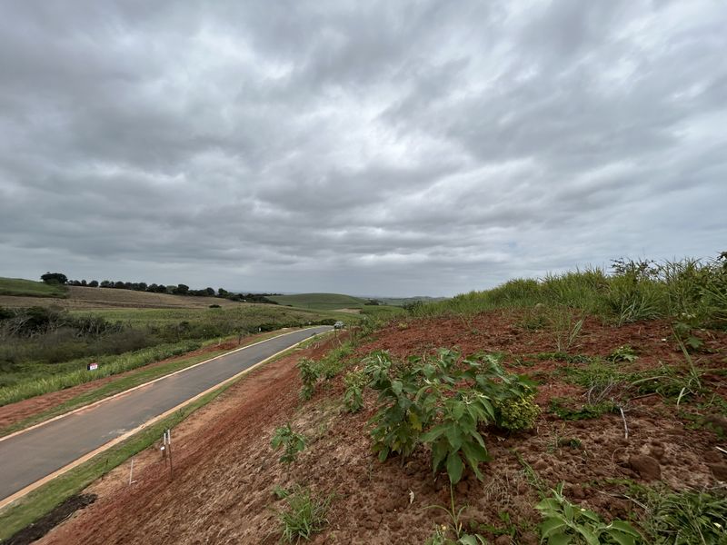 Elevated Stand with Expansive Estate Views - Photo 3
