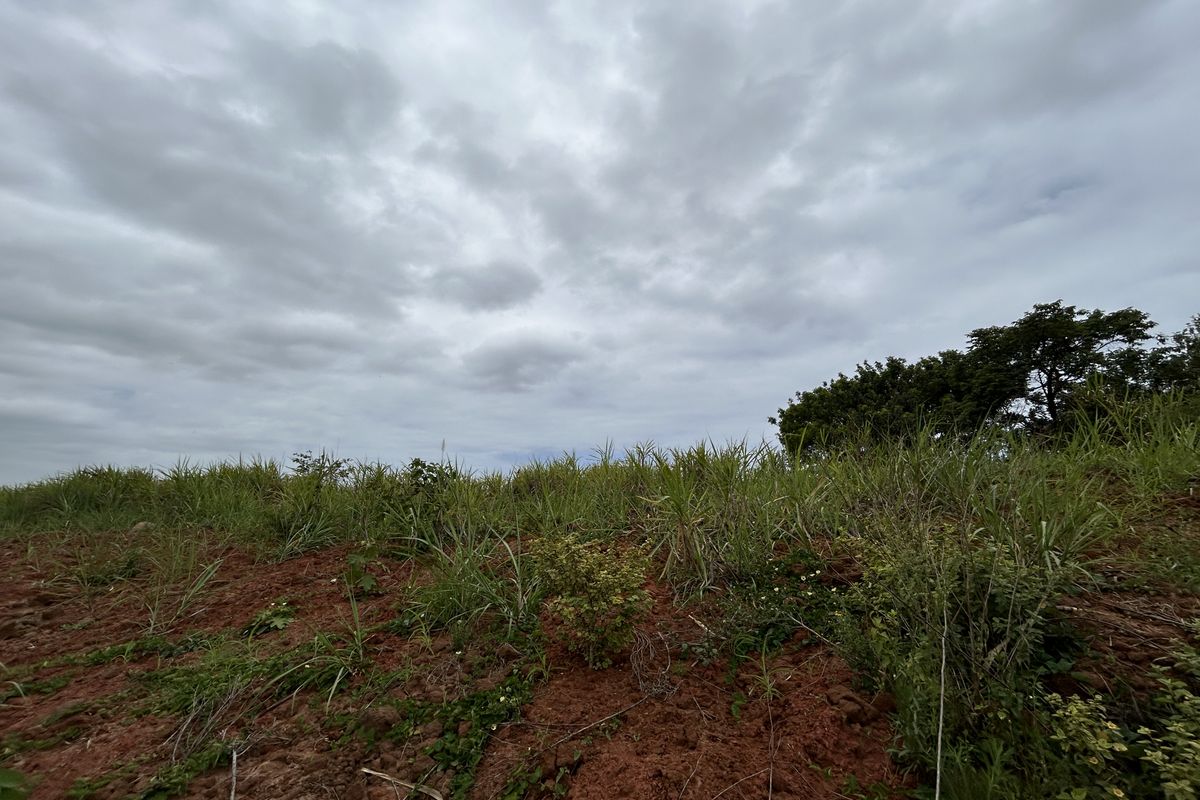 Elevated Stand with Expansive Estate Views - Photo 5
