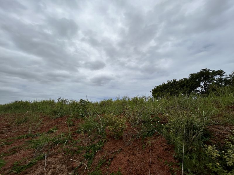 Elevated Stand with Expansive Estate Views - Photo 5