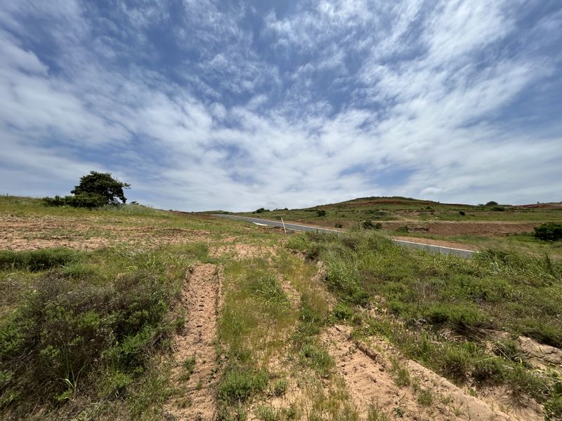 Beautiful 1467sqm Stand in the Heart of Seaton Estate - Photo 9