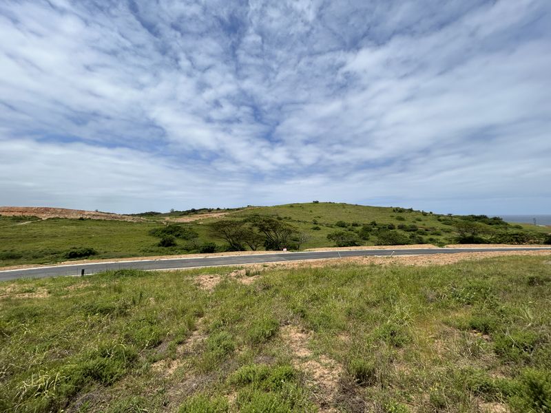 Beautiful 1467sqm Stand in the Heart of Seaton Estate - Photo 8