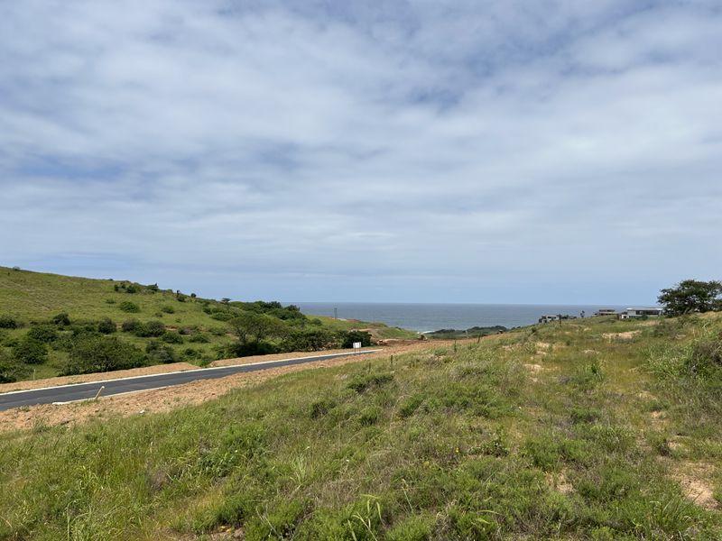 Beautiful 1467sqm Stand in the Heart of Seaton Estate - Photo 7