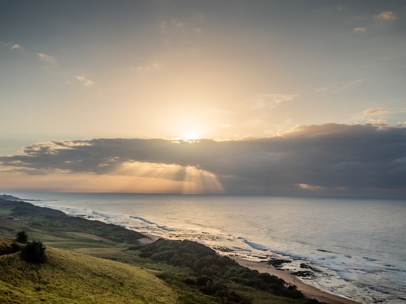 1380sqm Greenbelt Facing Stand in Seaton Estate - Photo 10