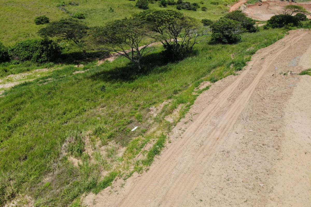 1380sqm Greenbelt Facing Stand in Seaton Estate - Photo 2