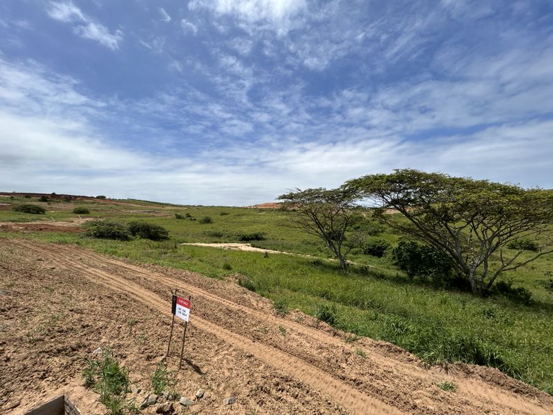 1380sqm Greenbelt Facing Stand in Seaton Estate - Photo 7